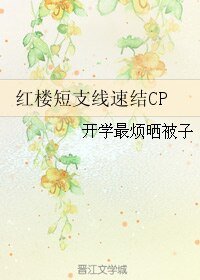 （紅樓同人）紅樓短支線速結CP